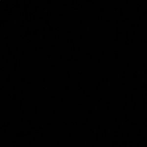 Meet your Posher, Terina